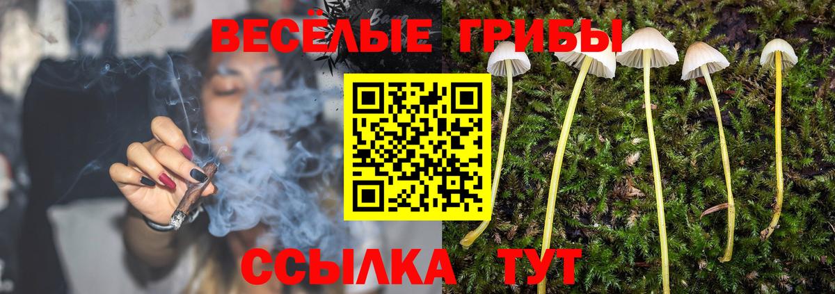 Псилоцибиновые грибы ЛСД Волхов