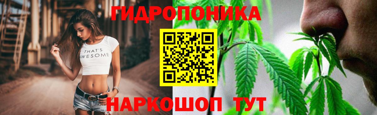 Канабис White Widow  Вход с VPN  Конопля конопля  Волхов  МАРИХУАНА тримм  МАРИХУАНА планчик 